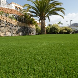 Luxury Panarea Synthetic Grass